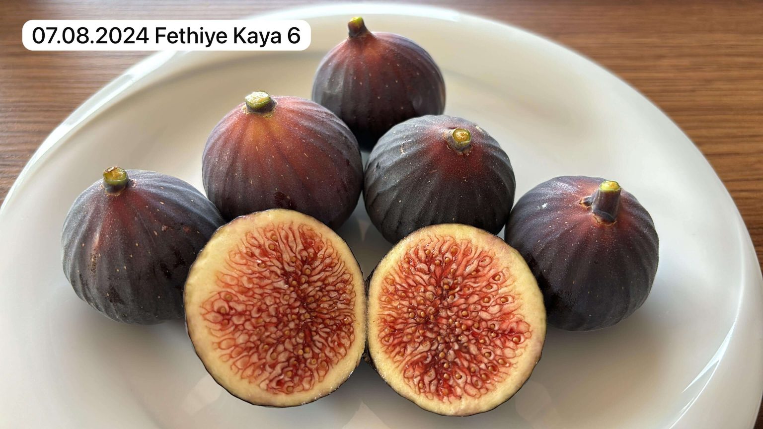 Ahmetli Bahçesi Fethiye Kaya Hasadı