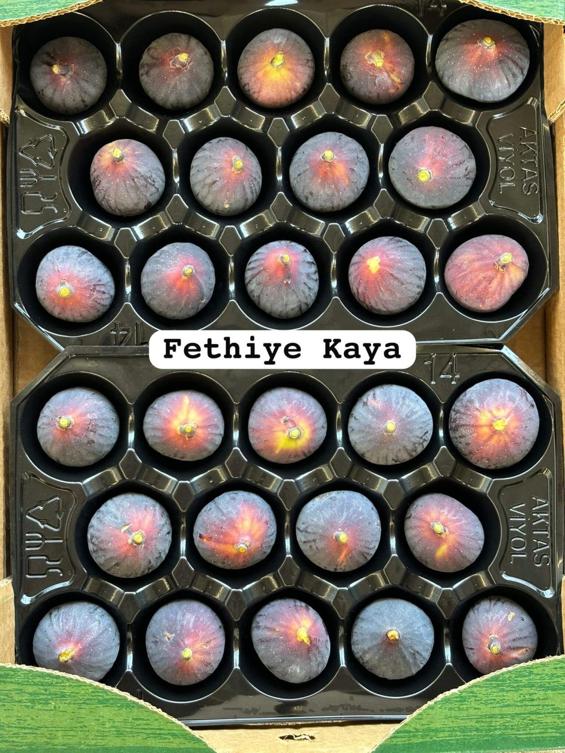ahmetli-bahcesi-fethiye-kaya-hasati-b5